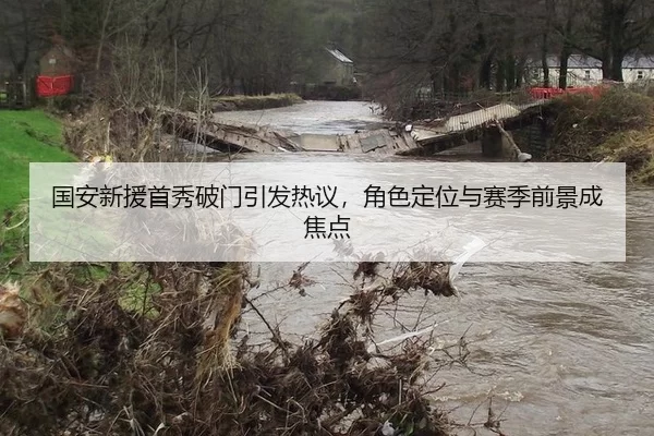 国安新援首秀破门引发热议，角色定位与赛季前景成焦点